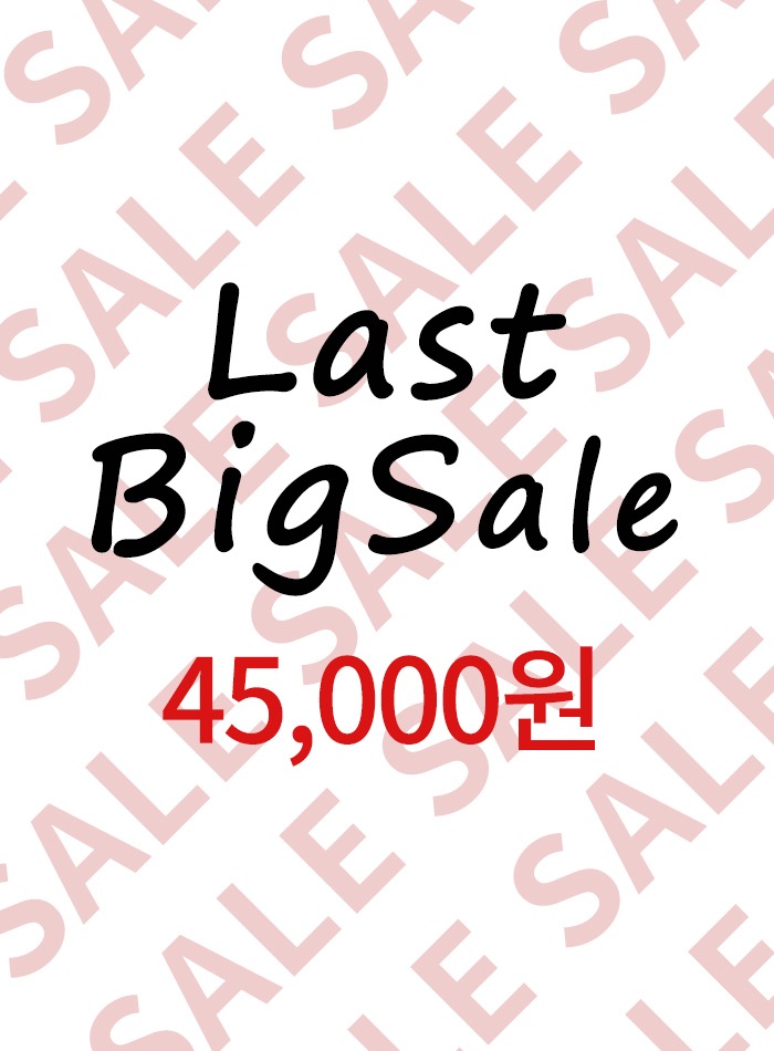 BIG SALE - 45000원